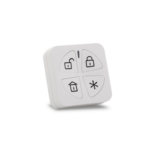 Panda 2-Way Keyfob